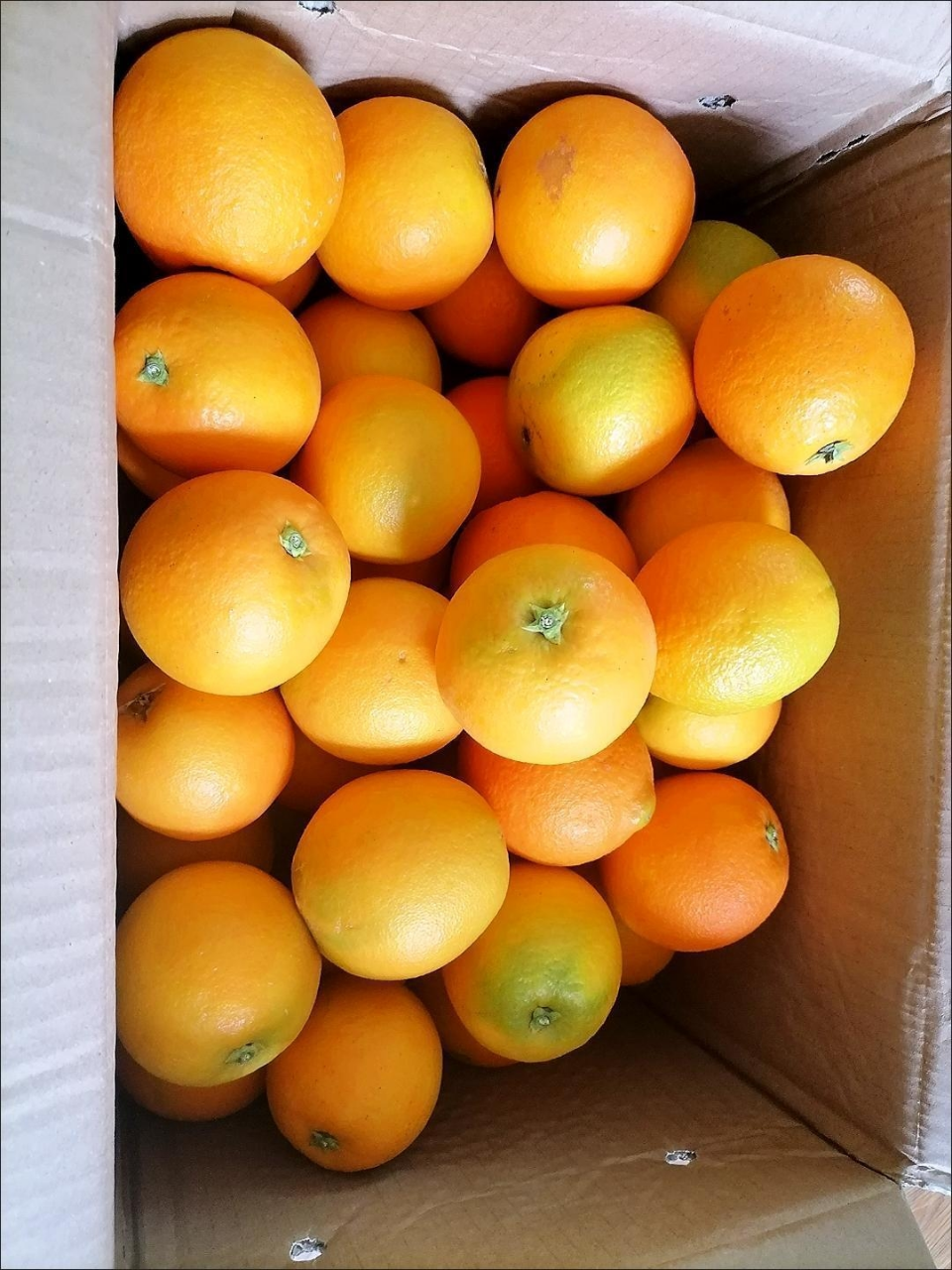 [熊猫鸟]正宗云南冰糖橙 净重5斤 中果 单果65mm左右 哀牢山新鲜应季水果晒单图