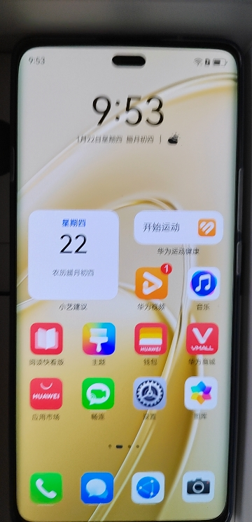 [智能手机]华为畅享 70X 尊享版 (BRE-AL80a) 512GB 流沙金晒单图