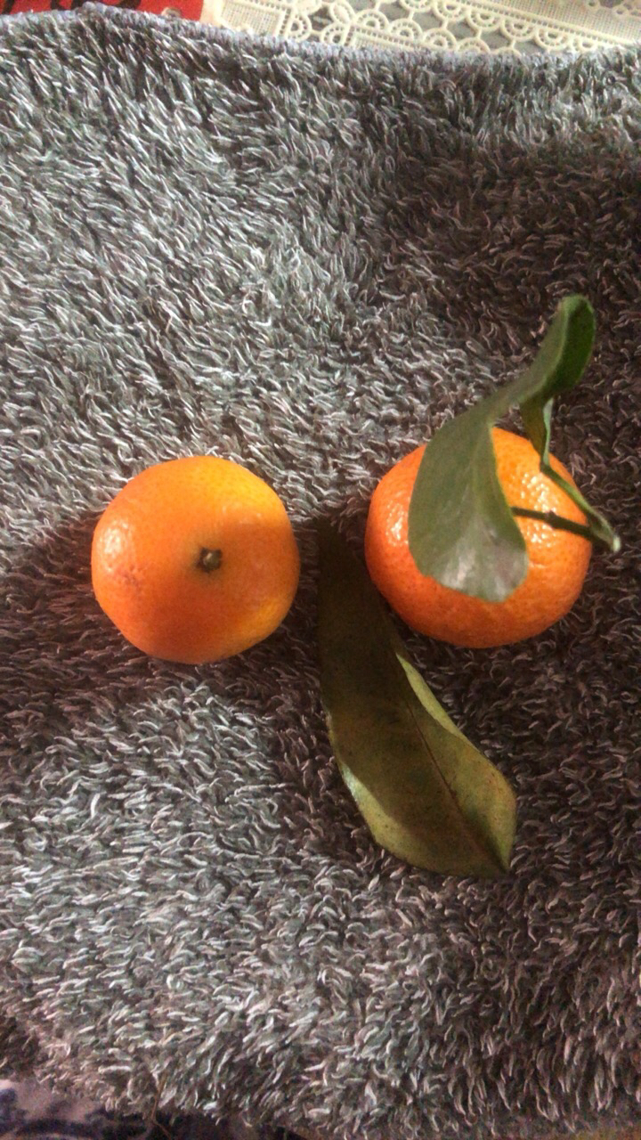 [苏鲜生]广西砂糖橘新鲜水果 净重5斤 小果 单果25mm左右 当季整箱手撕沙糖桔晒单图