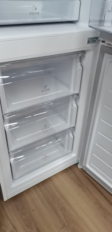 法迪欧双门冰箱BCD-262WBDPL/NC 262升大容量电脑控温左开门四星级节能高效晒单图