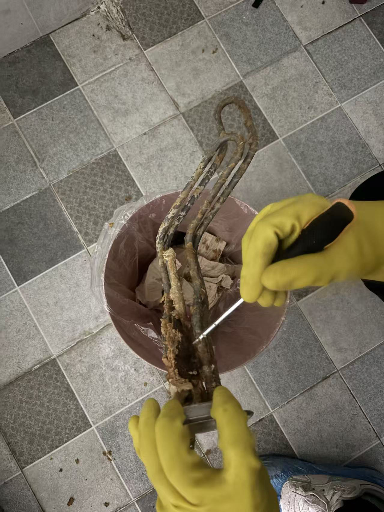 电热水器全拆卸清洗服务 电热水器内胆 加热管清洗 苏宁帮客上门清洗服务晒单图