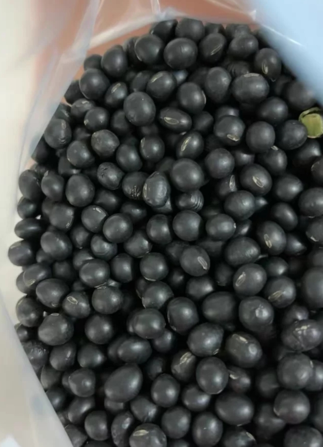 鲁强石磨源黑豆 1kg*2袋 打豆浆 发豆芽酥田袋装晒单图