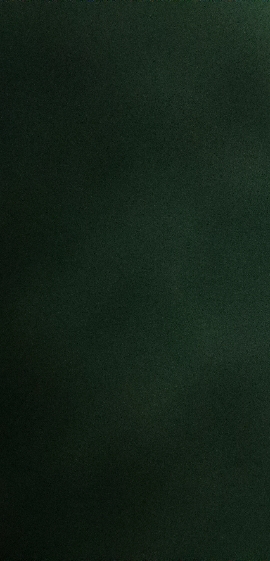 万和 二级能效12L燃气热水器 精准控温 智能氧护 多段燃烧 四重防冻 水气双调家用JSQ24-12ESN1天然气晒单图