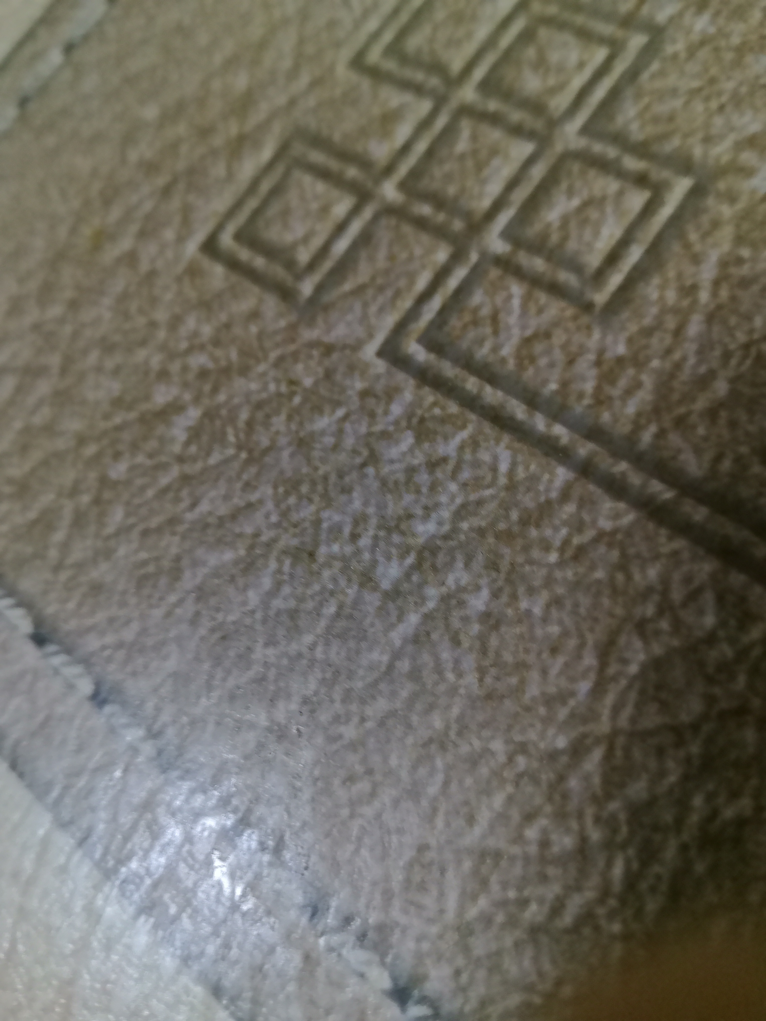 美的破壁机MJ-BL1085晒单图