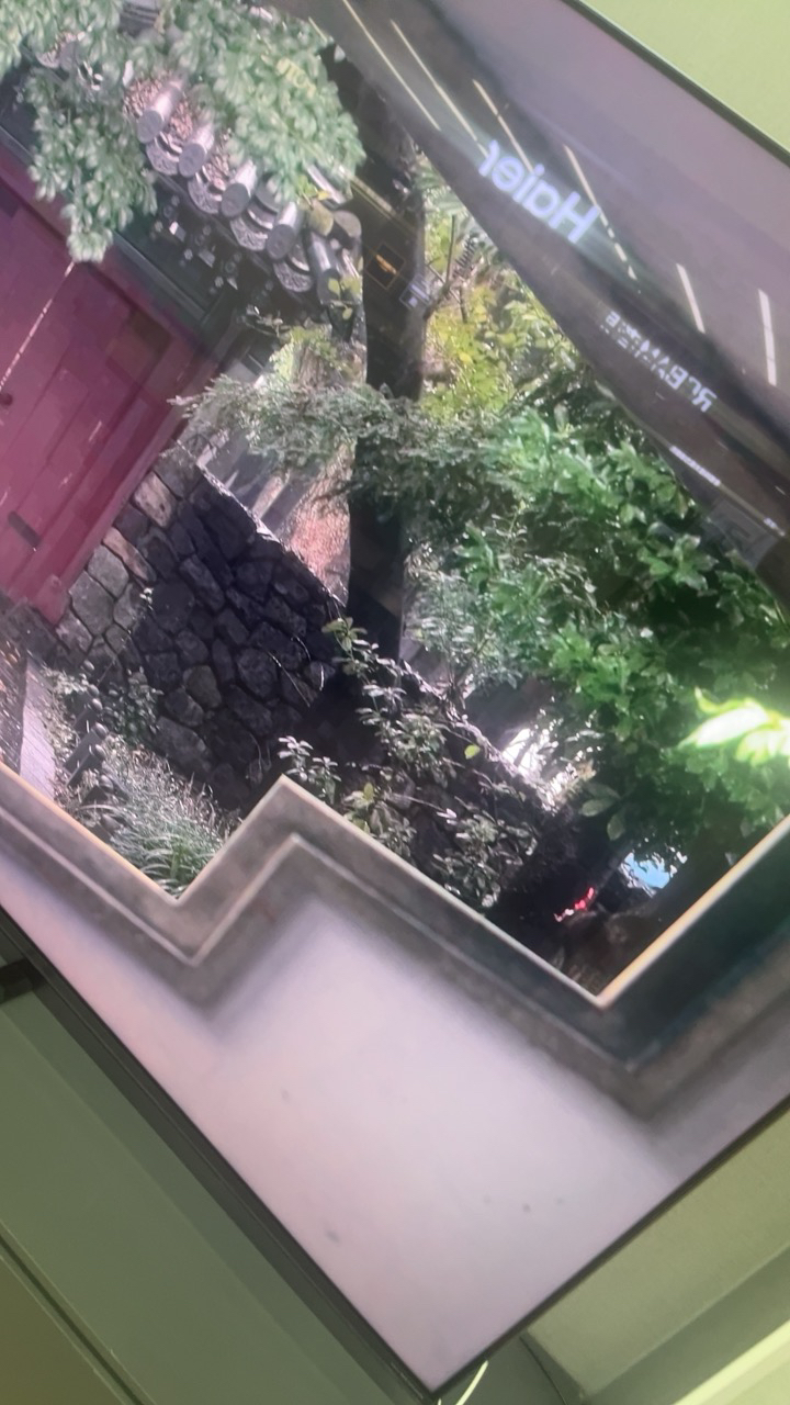 TCL电视 65P11L 65英寸 画布屏 QD-Mini LED控光晒单图