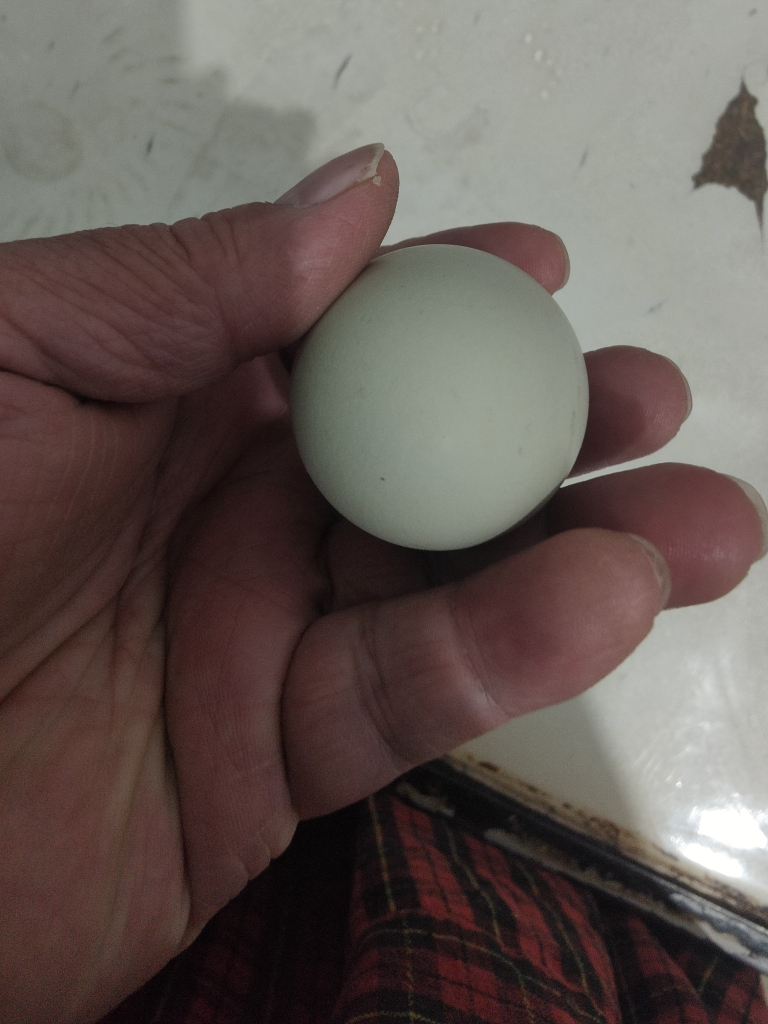 [熊猫鸟]新鲜虫草乌鸡蛋 10枚装 农家散养新鲜正宗草鸡蛋笨柴鸡蛋孕妇月子蛋整箱晒单图