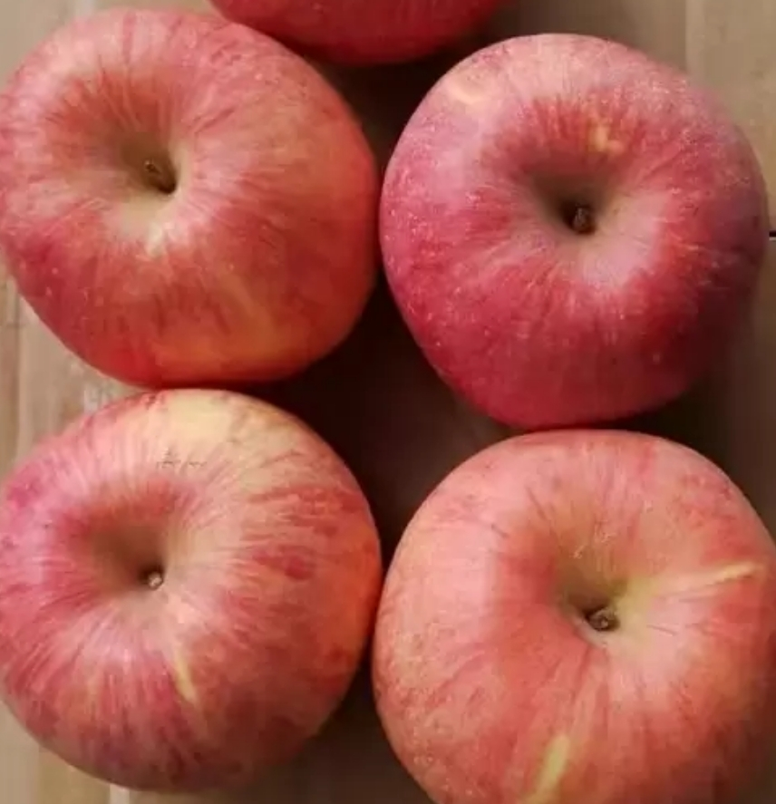 [苏鲜生]山东烟台红富士 净重4.5斤 大果 单果80-85mm 脆甜可口晒单图