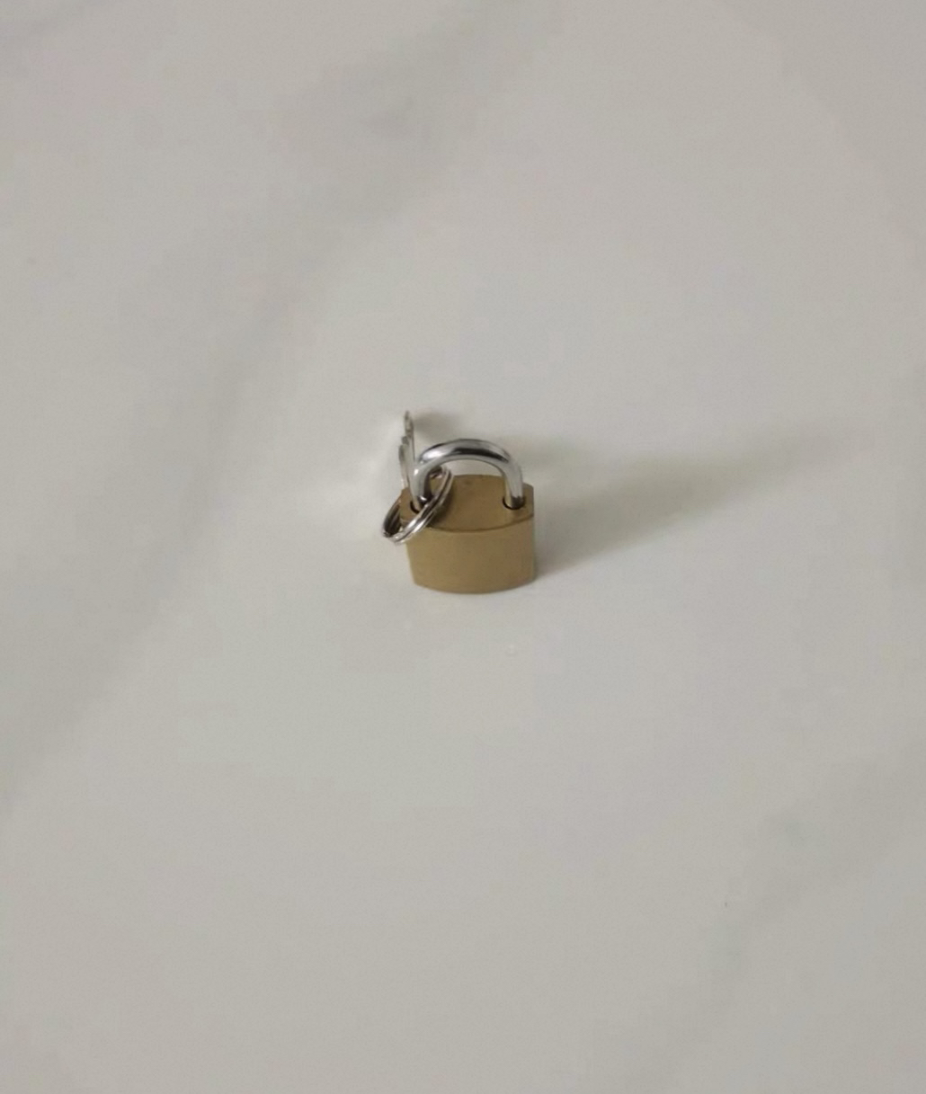 盾超人DCRGW-0605 锁体35*26mm梁高20mm 黄铜 挂锁(计价单位:个)黄铜色晒单图