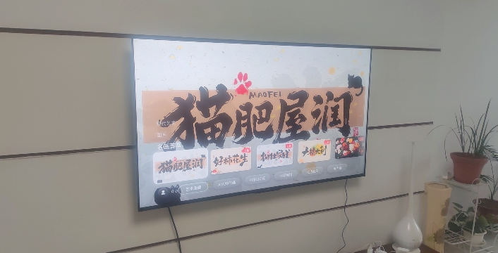 创维65英寸 65黑骑士A5F+极黑广角类纸屏 Mini LED 内置千元回音壁 护眼 超清 高配 国家补贴 一级能效晒单图