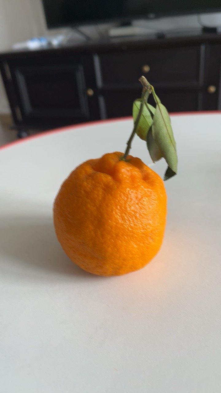 [熊猫鸟]四川不知火柑橘 净重5斤 单果75mm+ 箱装 丑橘 橘子 新鲜应季水果晒单图