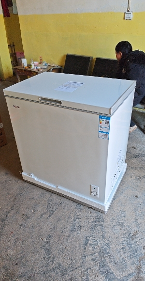 美菱(MELNG)冰柜201升卧式顶开门家用冷藏冷冻超薄小型单温冷柜一级大容量速冻断电保温小冰箱201DT白晒单图