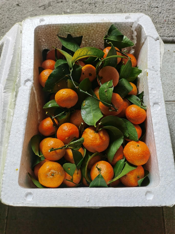 [苏鲜生]广西砂糖橘新鲜水果 净重5斤 中大果 单果35mm+ 当季整箱手撕沙糖桔晒单图