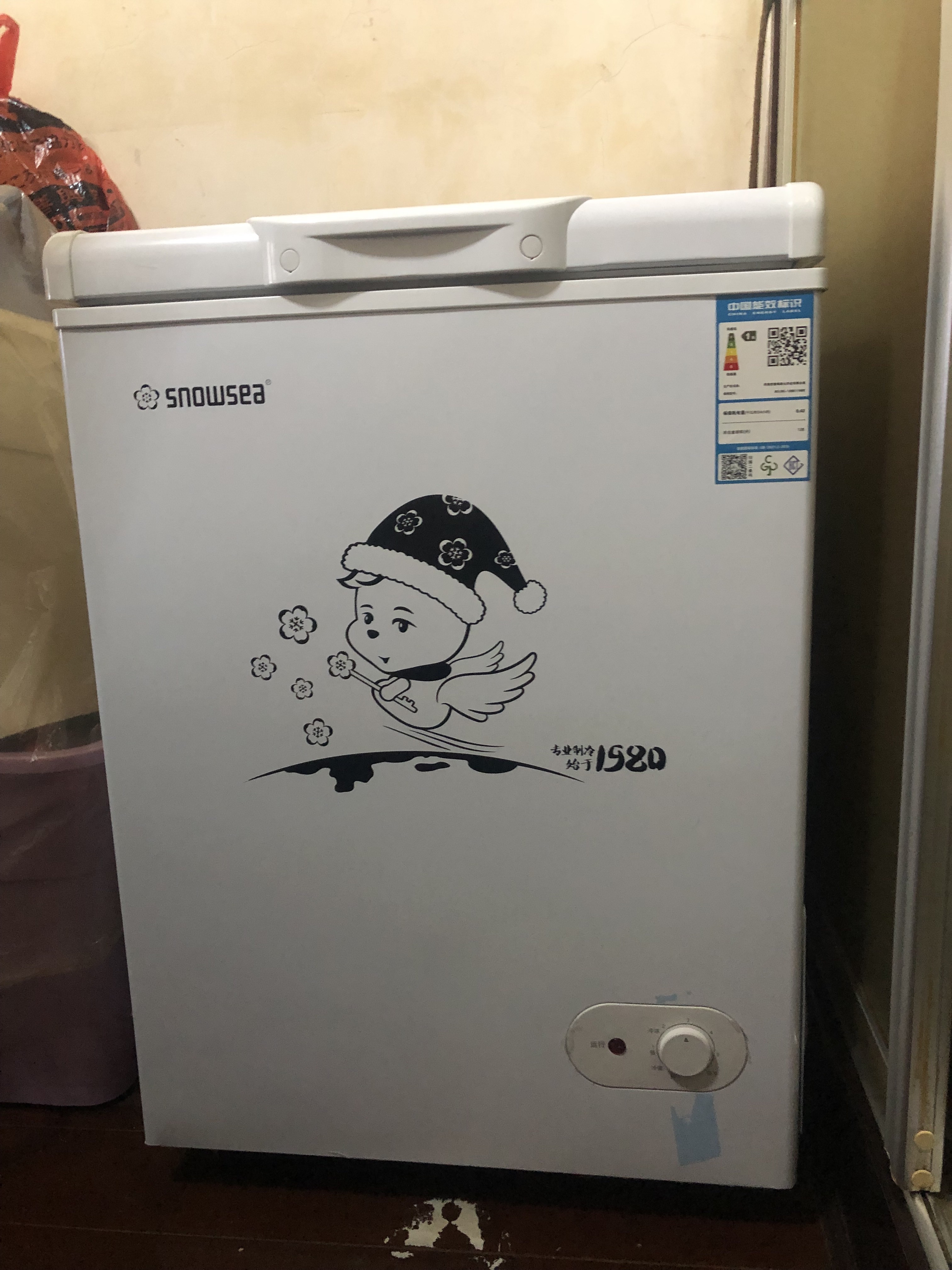 [苏宁优品]香雪海 128升 冰柜家用冷柜 冷藏柜 冷冻柜 冷藏冷冻可转换 冰柜小型家用 BD/BC-128S179BE晒单图