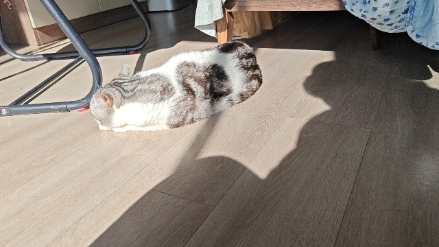 3小时日常计时保洁服务 苏宁帮客家政保洁服务 上门服务晒单图