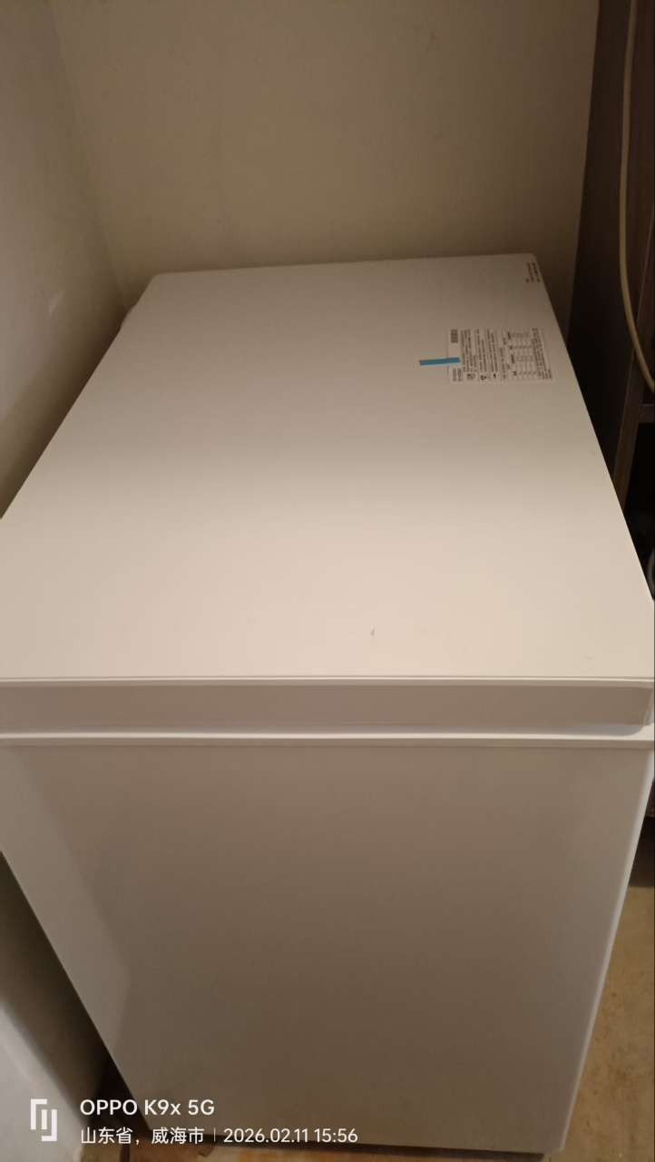 海尔(Haier)201升冰柜家用商用冷柜迷你小冷柜小型冷冻柜一级能效节能速冻小冰箱 BC/BD-201晒单图