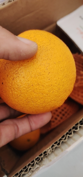 三峡秭归脐橙 中国脐橙之乡 九月红爆汁橙整箱5斤 大果70MM+ (表皮略有瑕疵,不影响口感,介意者勿拍)晒单图