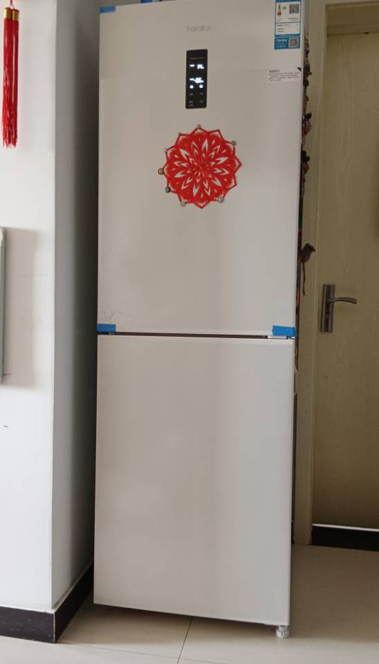 法迪欧双门冰箱BCD-262WBDPL/NC 262升大容量电脑控温左开门四星级节能高效晒单图