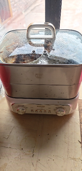 苏泊尔(SUPOR)电蒸锅 电煮锅 家用多功能涮火锅炖蒸煮一体电热锅 18L大容量不锈钢多用途锅ZN30FK1069晒单图