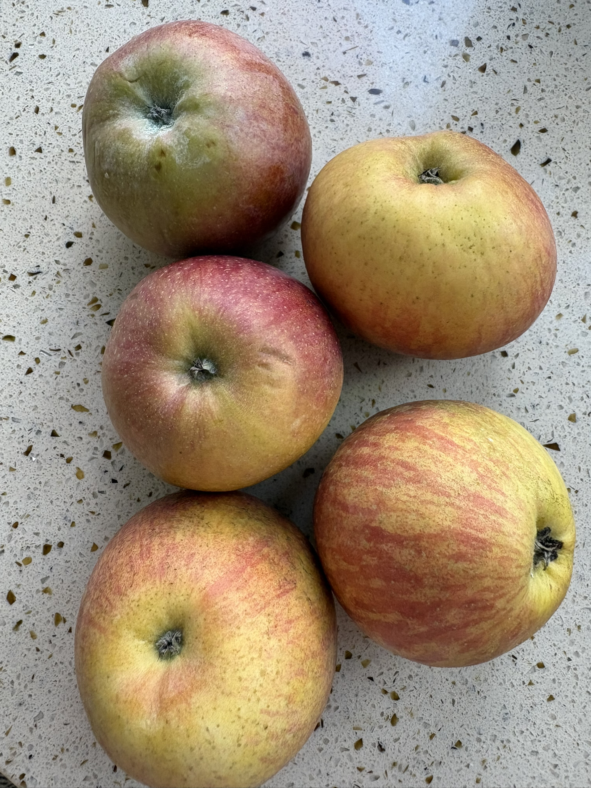 [熊猫鸟]四川凉山盐源丑苹果 净重9斤 特大果 20个左右 箱装 当季 新鲜水果晒单图