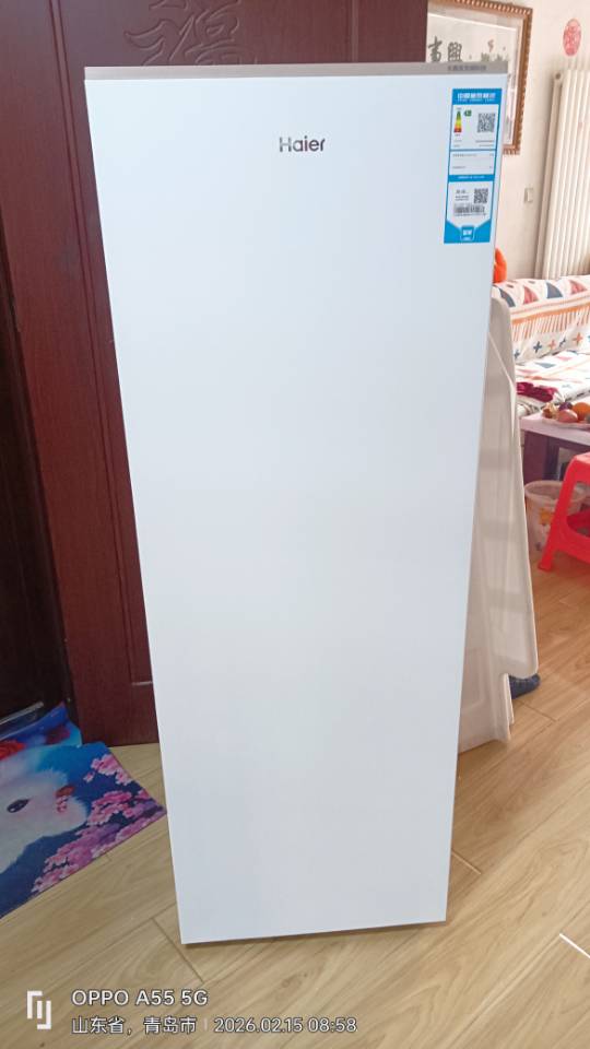 海尔(Haier)210升立式冷柜冰柜小冰箱 柔性双变频 黑金净化 洁净制冰BD-210WGHDGWF晒单图