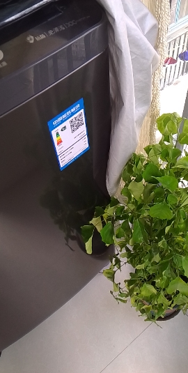 [官方正品]小天鹅10公斤直驱变频深层除螨抗菌超净一键智洗波轮洗衣机自动断电全自动 TB100V26DT以旧换新晒单图