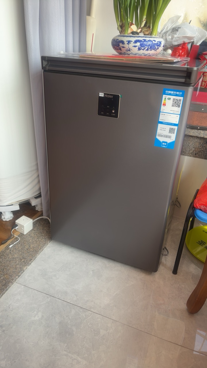 海尔无需除霜冰柜家用100升零下40℃细胞级速冻超低温冰柜商用大容量海鲜柜智能电子控温自动除菌 [重磅升级]100升晒单图