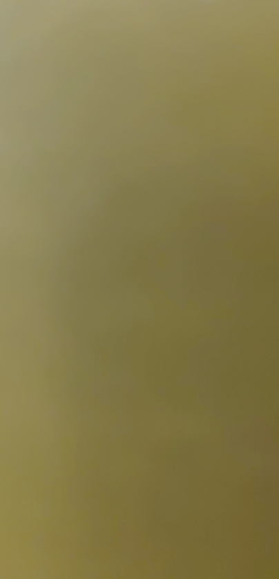 爱他美领熠婴儿配方奶粉 1段 (适用于0-6个月 )800G晒单图