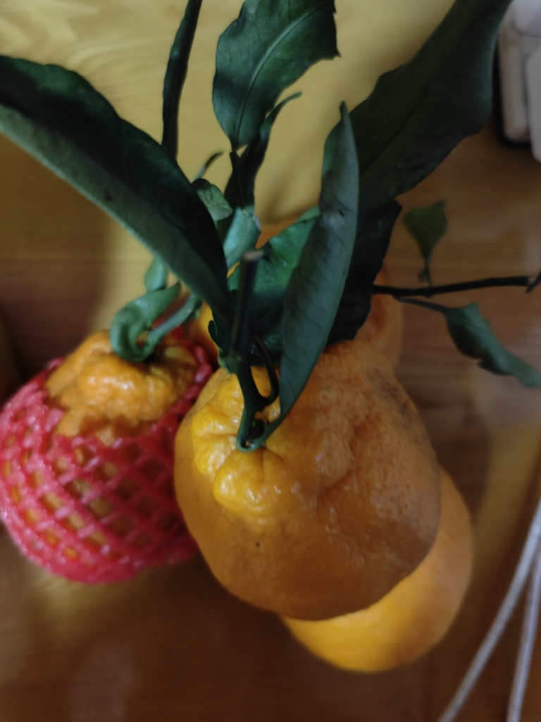 [熊猫鸟]四川不知火柑橘 净重5斤 单果75mm+ 箱装 丑橘 橘子 新鲜应季水果晒单图