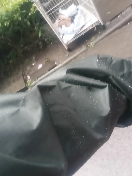 依莲纱嫚 分体雨衣 均码/套晒单图