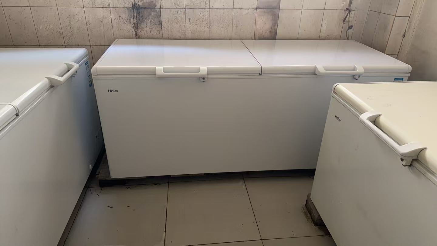 Haier/海尔冰柜超市商用大容量500升以上卧式双开门冷藏冷冻转换冷柜带锁带脚轮海鲜柜大冷柜 829升/零下38度速冻晒单图