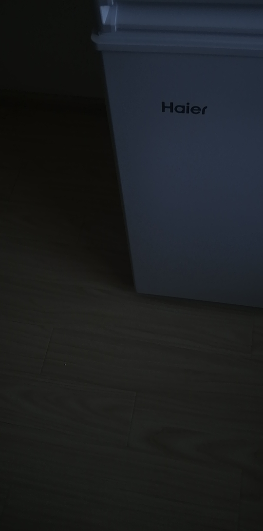 海尔201升卧式冷柜一级能效低霜家用冰柜 冷藏柜冷冻柜小冰柜家用商用小型冰箱大容量冷柜 BC/BD-201G晒单图