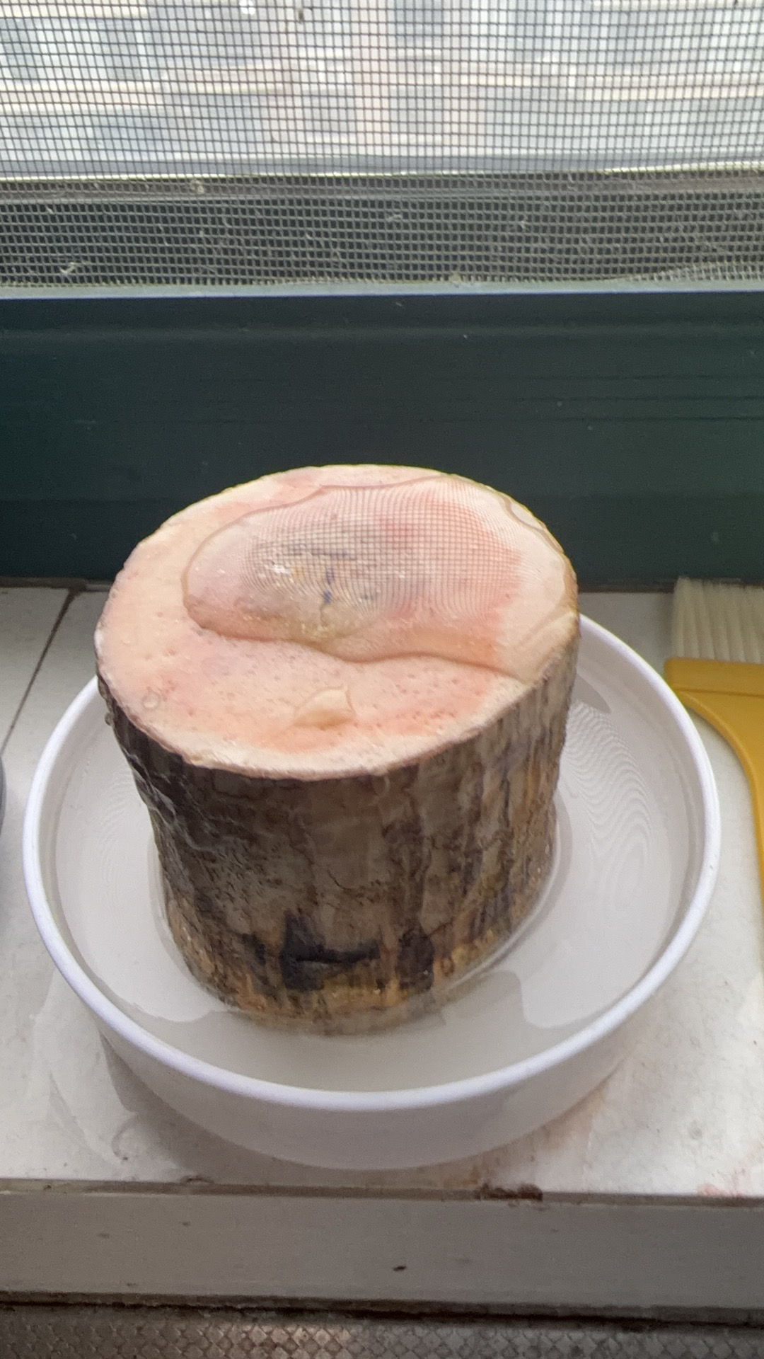 美的(Midea)净水器玲珑MAX1000G家用厨下式净水机过滤器直饮机 5年长效RO反渗透一级能效玲珑净水器母婴直饮极晒单图