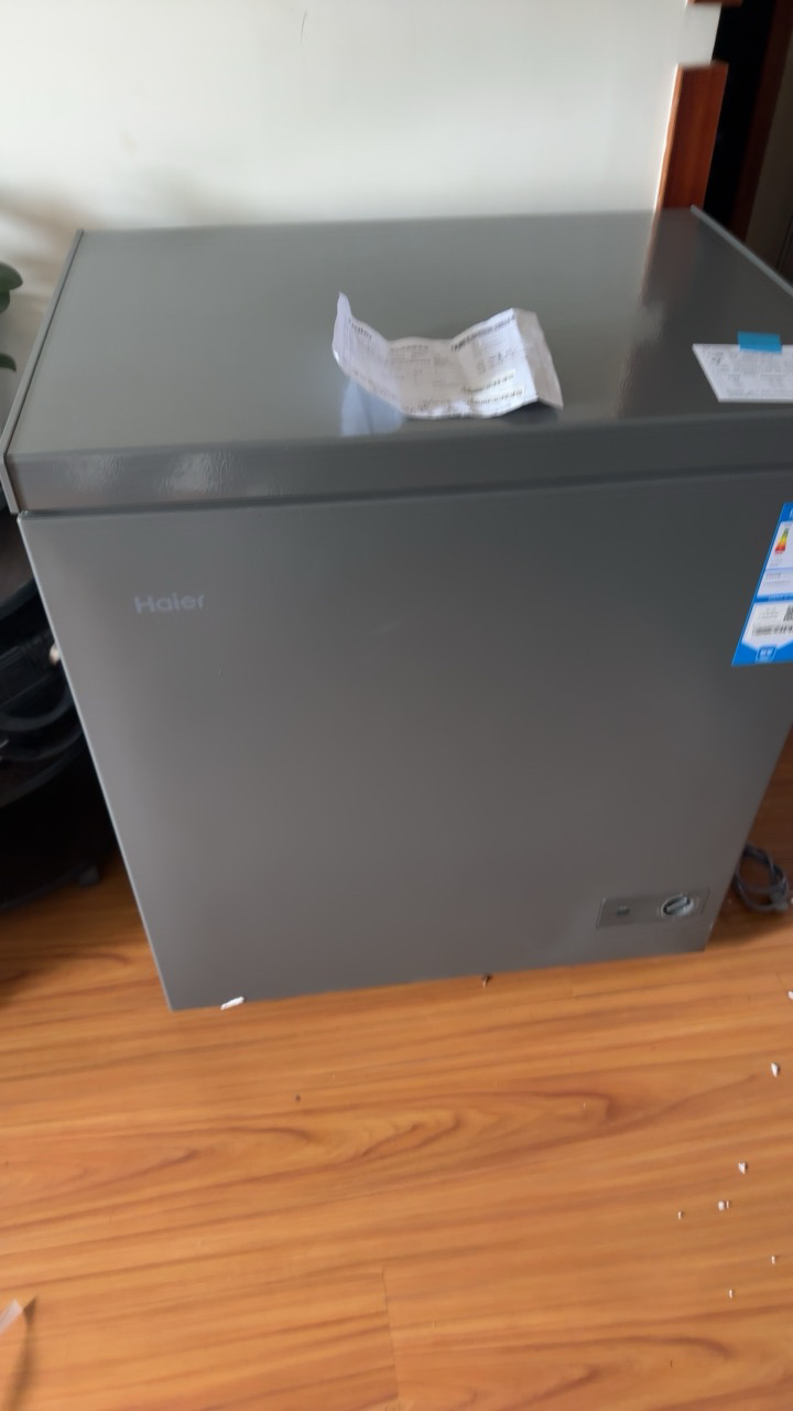 [无需除霜]海尔冰柜家用小型冷柜一级能效冷藏冷冻转换保鲜柜速冻柜节能小冰箱 [新品]钢板内胆200L晒单图
