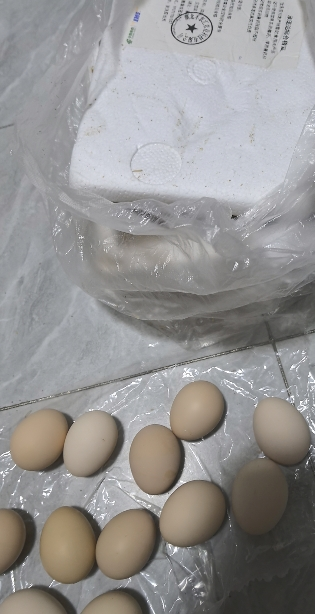 [西沛生鲜]新鲜谷物蛋 10枚装 农家散养新鲜正宗草鸡蛋笨柴鸡蛋孕妇月子蛋整箱晒单图