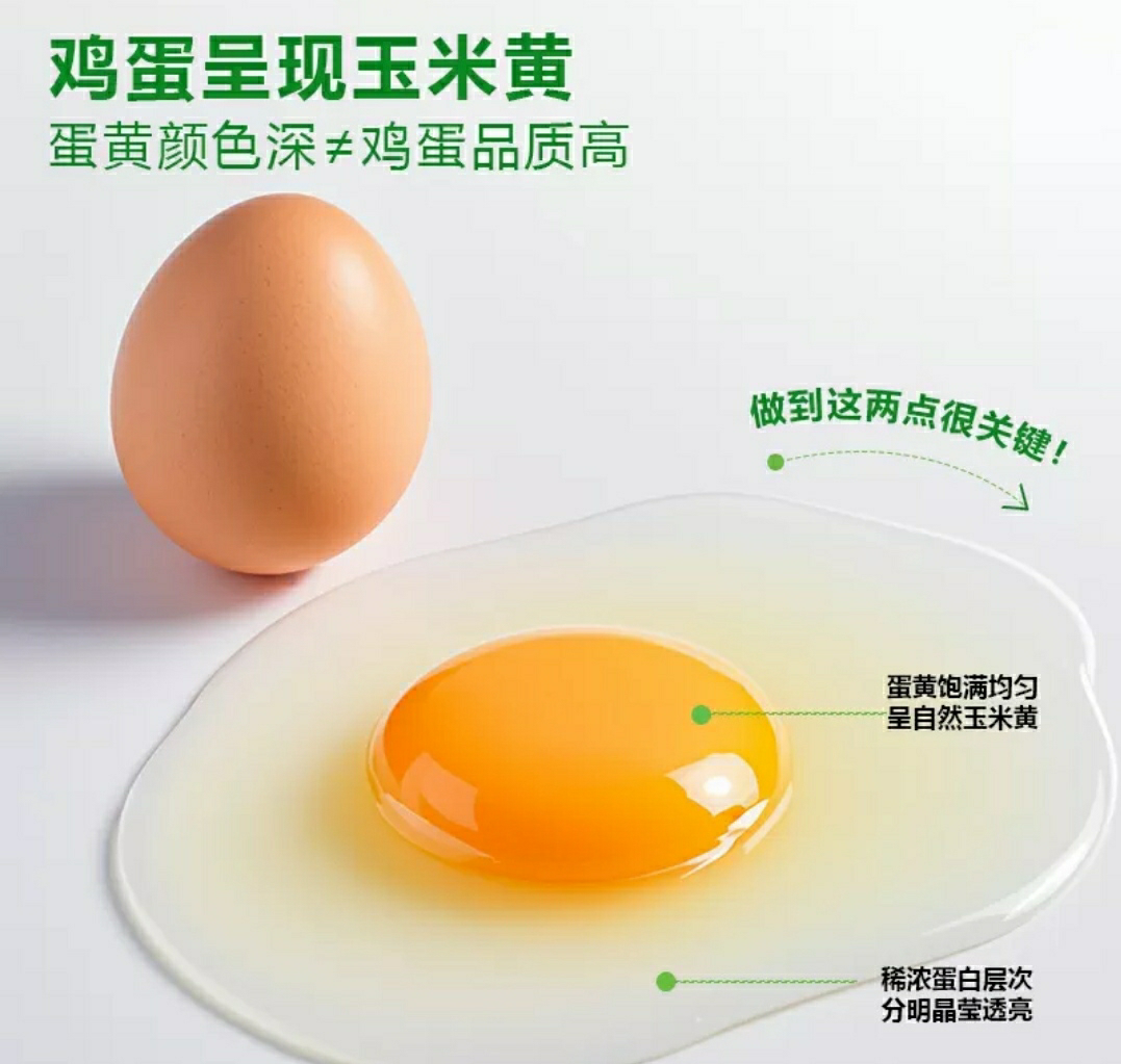 雀淘AA级新鲜土鸡蛋30枚装无沙门氏菌农家放养草鸡蛋营养早餐顺丰发货晒单图