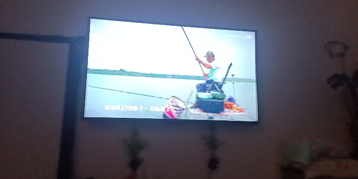 TCL电视 55V8L Pro 55英寸 1000Hz高刷解码 QLED量子点 3GB+64GB大内存 电视晒单图