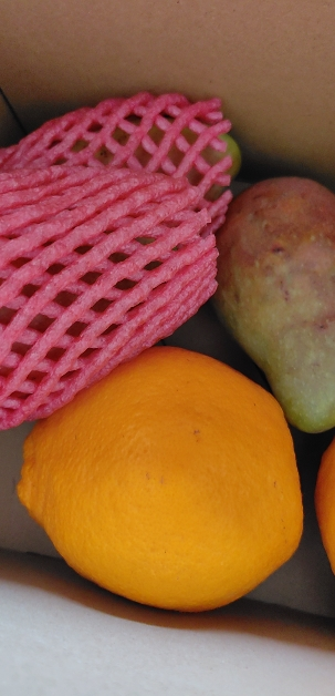 [熊猫鸟]新鲜海南贵妃芒果 净重2.5斤 单果150g+ 热带水果 新鲜水果 香甜可口晒单图