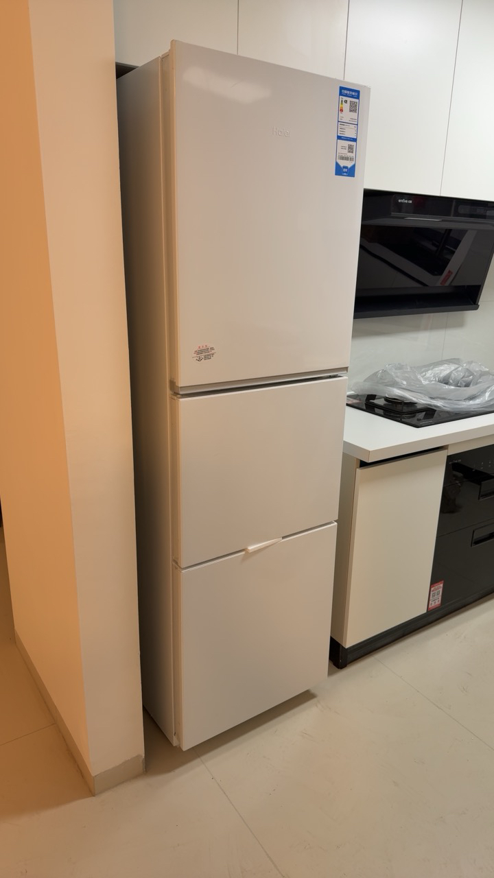 海尔(Haier) 251升 风冷无霜 一级变频 健康保鲜冰箱BCD-251WGHC3E7WV晒单图