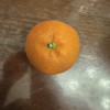 [熊猫鸟]塔罗科血橙 净重5斤装 大果 单果65mm+红心肉橙子 新鲜水果 新鲜孕妇 水果橙子晒单图