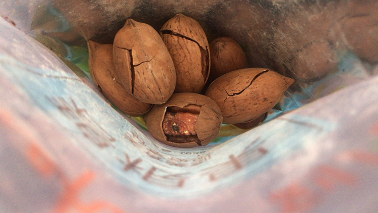 刻凡碧根果108g袋装特产炒货追剧解馋零食坚果干果山核桃长寿果晒单图