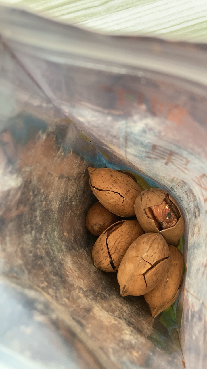 刻凡碧根果108g袋装特产炒货追剧解馋零食坚果干果山核桃长寿果晒单图