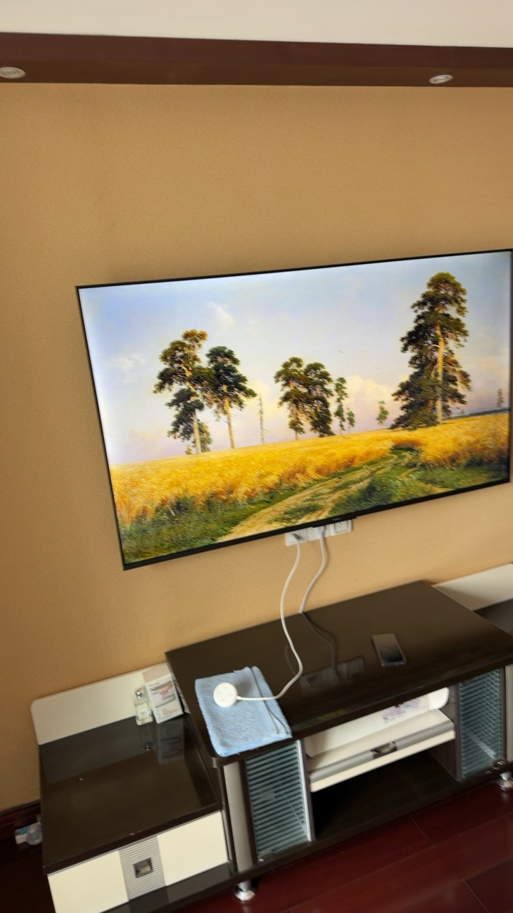 创维65英寸 65黑骑士A5F+极黑广角类纸屏 Mini LED 内置千元回音壁 护眼 超清 高配 国家补贴 一级能效晒单图