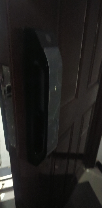 [新品首发]德施曼大圣Q5 MPro(标准版)智能门锁指纹家用全自动大屏可视猫眼密码 高端黑晒单图