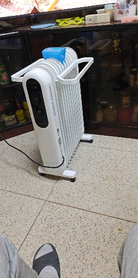 格力(GREE)取暖器油汀NDY19-X6021 13片大功率 干衣取暖 整屋升温 家用 电暖器 电暖气片晒单图