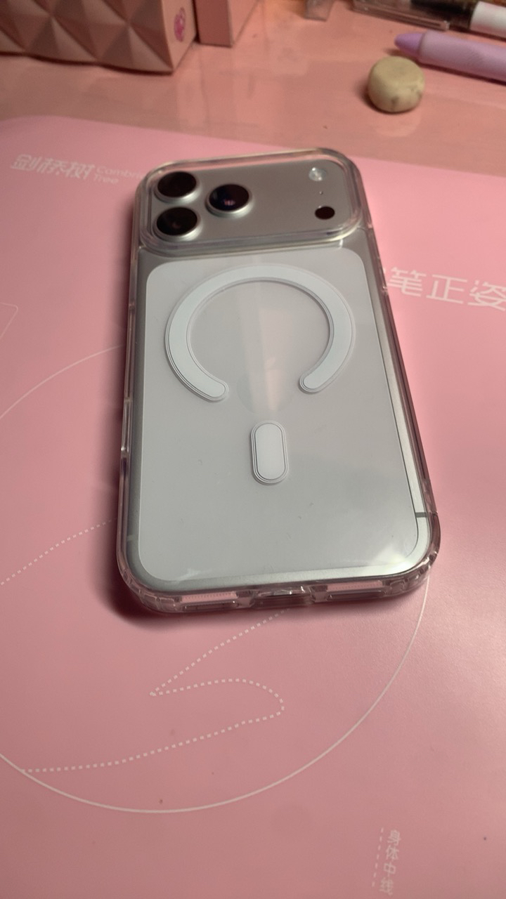 Apple iPhone 17 Pro Max 1T 银色 移动联通电信5G手机晒单图