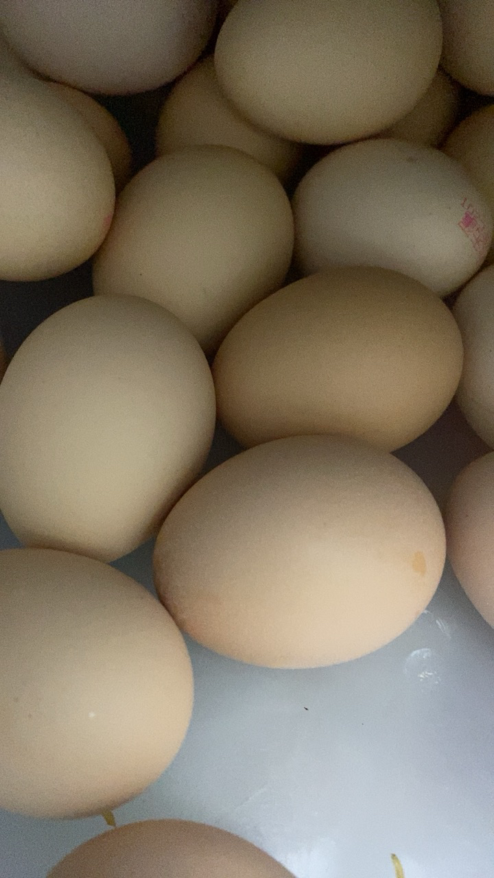 [西沛生鲜]新鲜谷物蛋 20枚装 农家散养新鲜正宗草鸡蛋笨柴鸡蛋孕妇月子蛋整箱晒单图