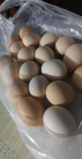 [西沛生鲜]新鲜谷物蛋 20枚装 农家散养新鲜正宗草鸡蛋笨柴鸡蛋孕妇月子蛋整箱晒单图