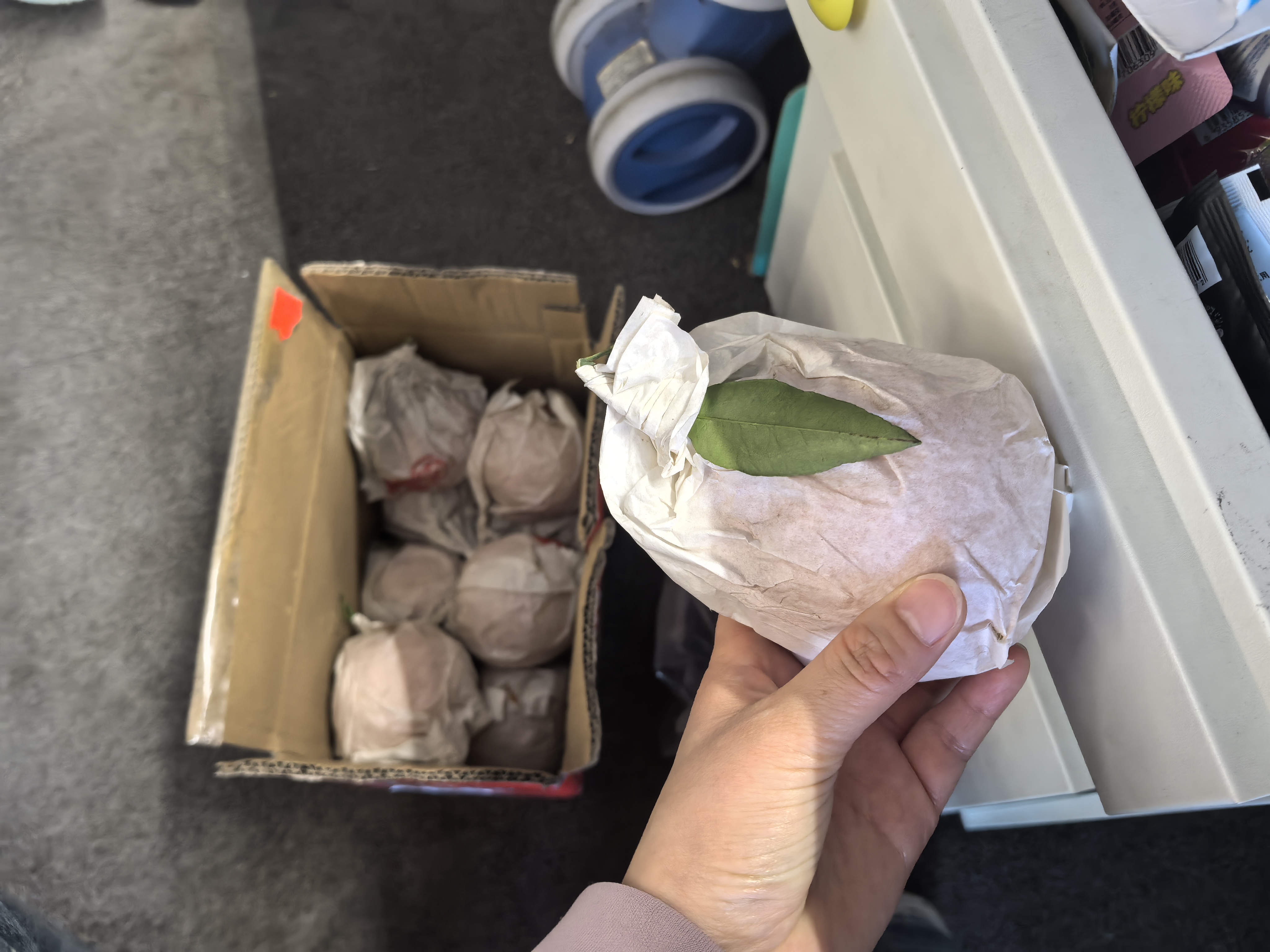 [熊猫鸟]四川不知火柑橘 净重5斤 单果75mm+ 箱装 丑橘 橘子 新鲜应季水果晒单图