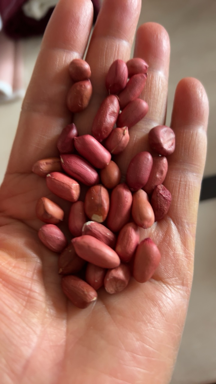 汾都香袋装红皮花生生花生花生仁花生粒500g*1袋晒单图