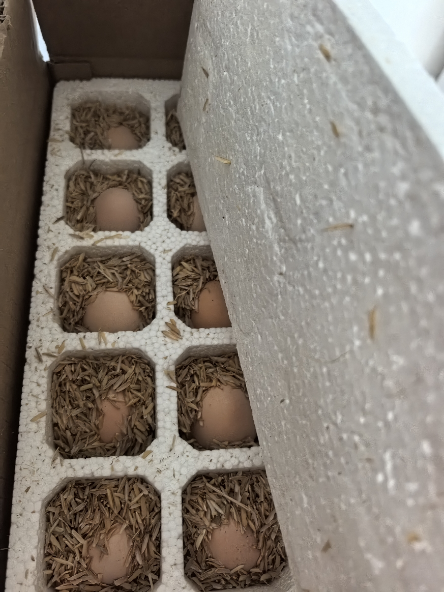 [熊猫鸟]新鲜谷物蛋 30枚装 农家散养新鲜正宗草鸡蛋笨柴鸡蛋孕妇月子蛋整箱晒单图